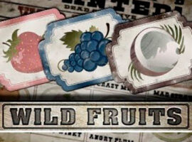 Wildfruits Spielautomat Übersicht auf Sizzling-hot-deluxe-777