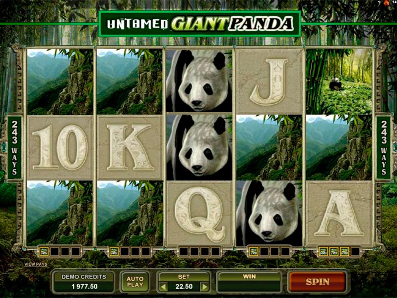 Das Beste Online-Slotspiel Untamed Giant Panda im Internet-Spielhaus im Jahre 2023