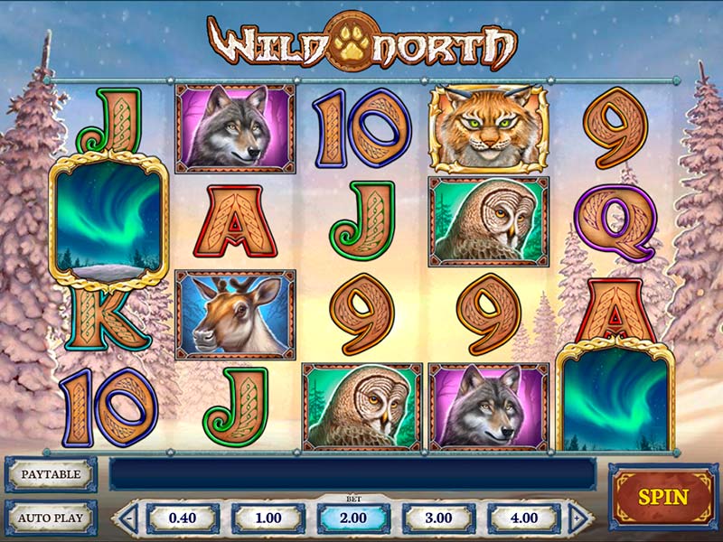Zocken Sie Wild North Slot um Echtgeld mit einem Casino Bonus Code ohne Einzahlung